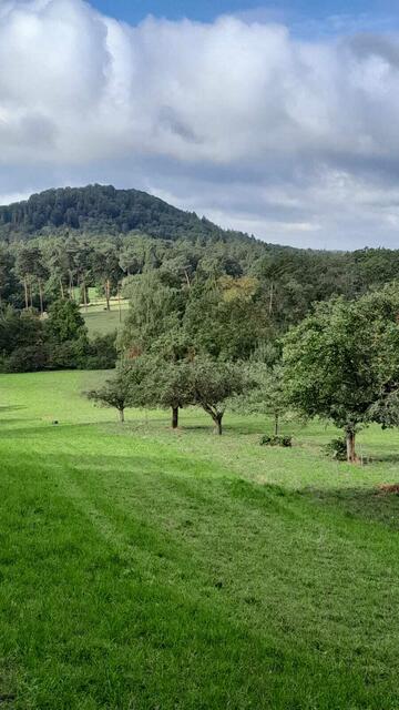 Die Rückseite des Wunnensteins ist bewaldet, der Aussichtsturm in den Bäumen versteckt. | Foto: Foto privat