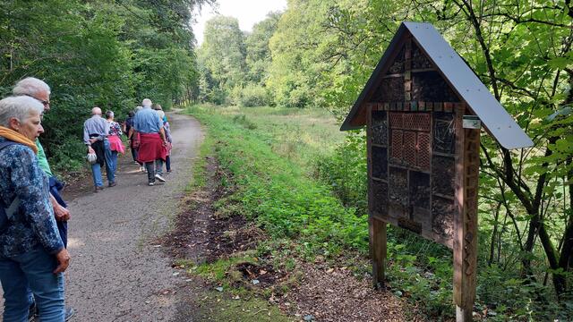 Insektenhotel | Foto: Elfriede Baier 