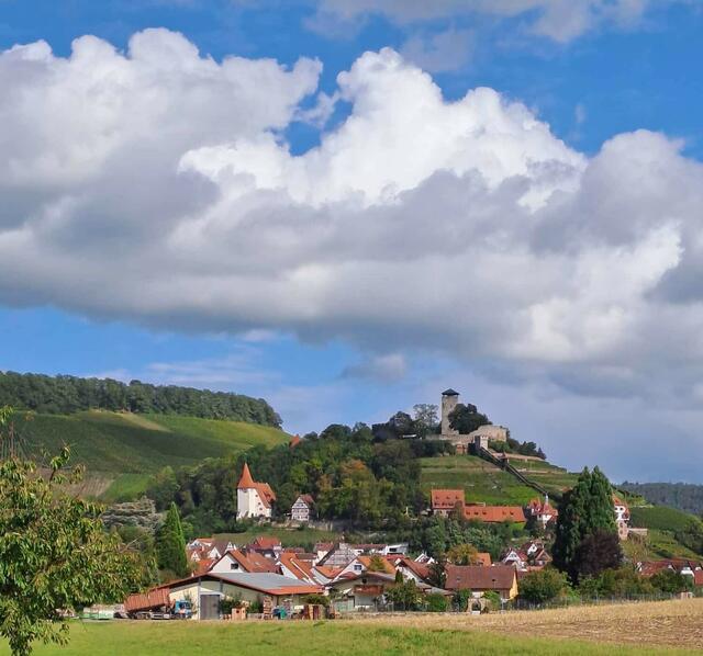 Ein wunderschönes Ensemble: Burg, Schloß und Kirche oberhalb von Beilstein. | Foto: Foto privat