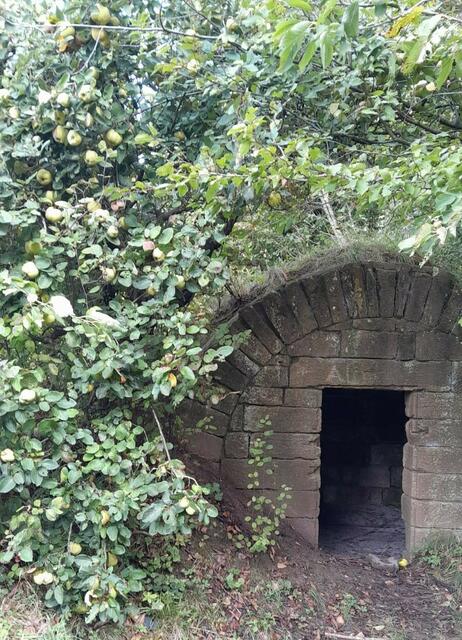 Am Rastplatz versteckt sich ein Schutzhäuschen für die Wengertschützen, die früher die Weinberge bewachten vor diebischen Vögeln und Menschen. | Foto: Foto privat