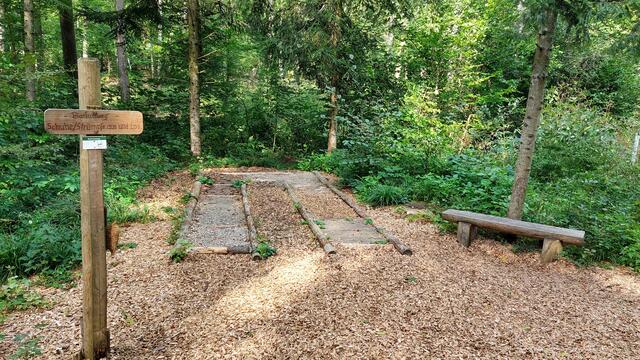 Kleiner Barfußpfad | Foto: Elfriede Baier 