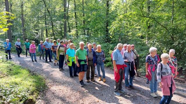 Durch den Forst | Foto: Elfriede Baier 