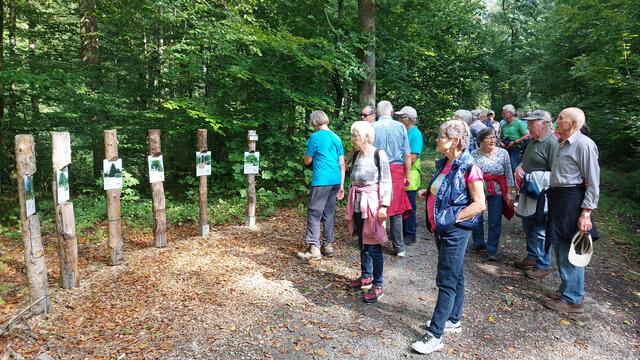 Baumrinde erkennen | Foto: Elfriede Baier 