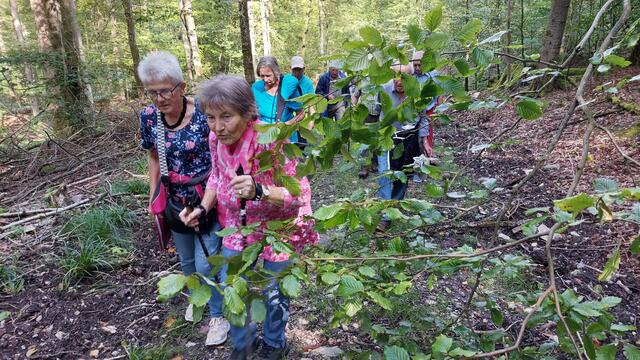 Über Stock und Stein | Foto: Elfriede Baier 