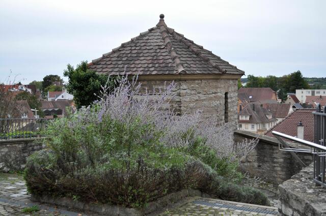 Es sieht auf jeden Fall urig aus. Von hier gehts wieder den Weg nach unten. | Foto: Daniela Somers