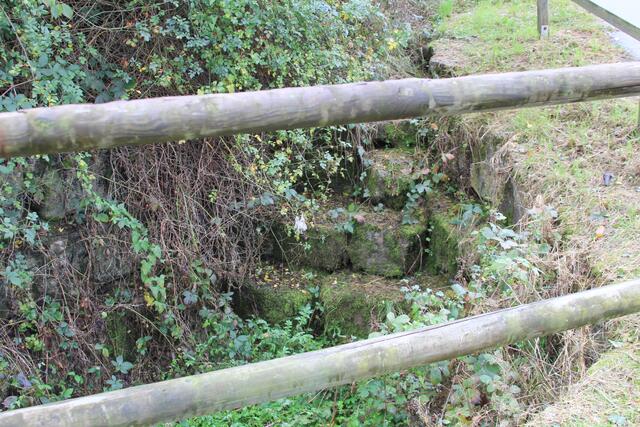 cool | Foto: Ralf Röser