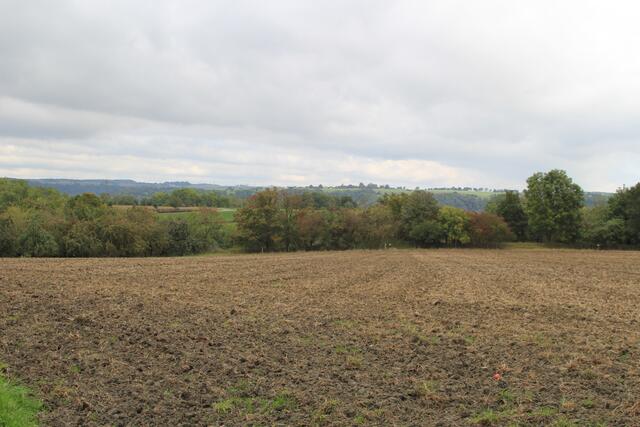 und weiter | Foto: Ralf Röser