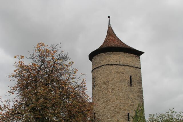 schee | Foto: Ralf Röser