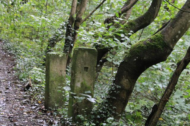 ?? | Foto: Ralf Röser