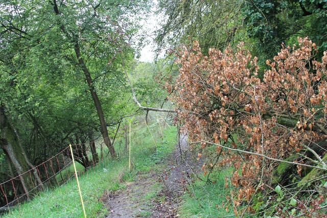 weiter geht's | Foto: Ralf Röser