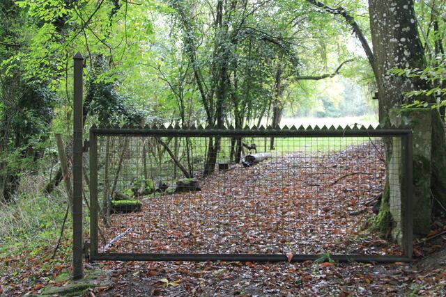 cool | Foto: Ralf Röser