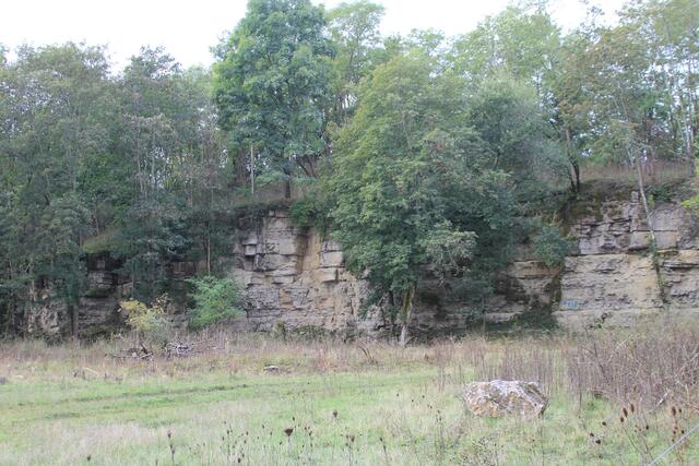 alter Steinbruch- links davon geht es die Ohrenklinge runter | Foto: Ralf Röser