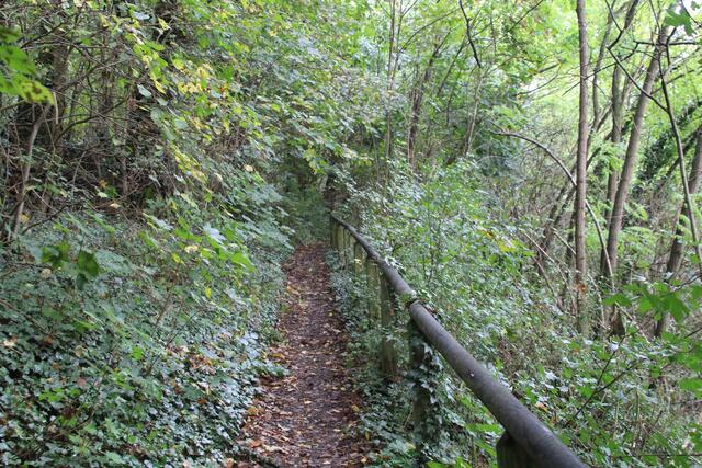 da hoch | Foto: Ralf Röser