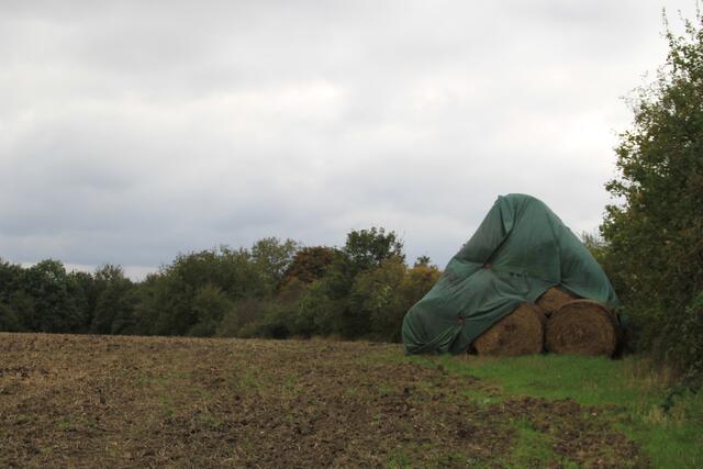 cool | Foto: Ralf Röser