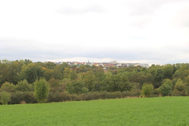 Ausblicke | Foto: Ralf Röser