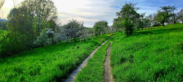 Frühling rund um Neuenstein (Hohenlohekreis) | Foto: Andreas Odey