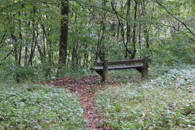 im Nirgendwo | Foto: Ralf Röser