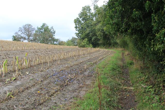 und weiter | Foto: Ralf Röser
