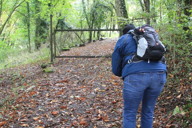 hier liegen sehr viele Kastanien | Foto: Ralf Röser