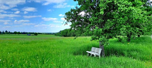 Ruhemomente bei Obersteinbach (Gem. Wüstenrot/Lkr. Heilbronn) | Foto: Andreas Odey