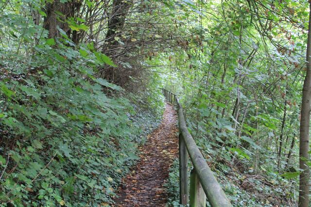 und weiter | Foto: Ralf Röser