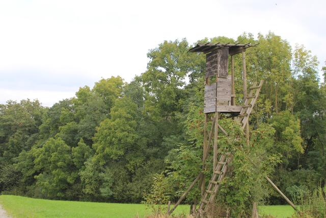 schon recht eingewachsen | Foto: Ralf Röser