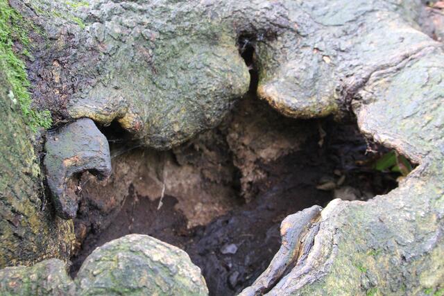 wow | Foto: Ralf Röser