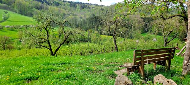 Ruhepause im Steinbachtal bei Schuppach
(Gem. Pfedelbach/Hohenlohekreis) | Foto: Andreas Odey