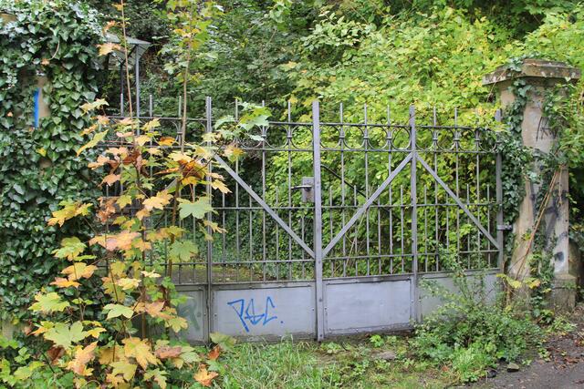 schönes Tor | Foto: Ralf Röser