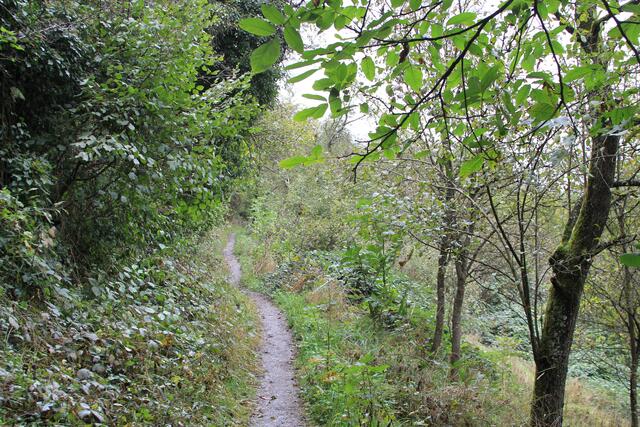 oben geht es weiter | Foto: Ralf Röser