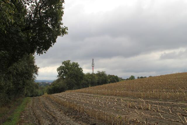 Blick zurück | Foto: Ralf Röser