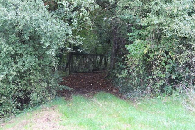 Nochmal Blick zurück | Foto: Ralf Röser