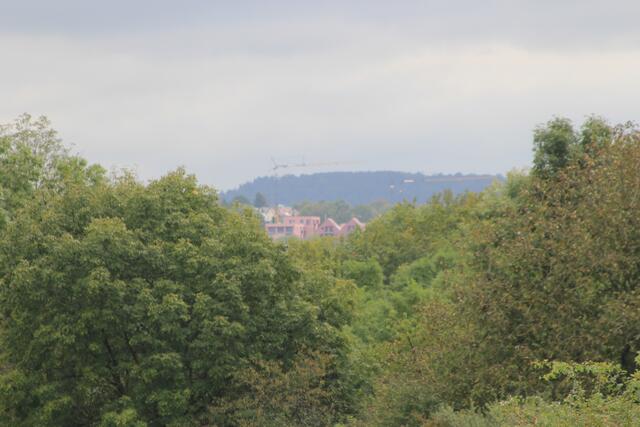 Ausblick | Foto: Ralf Röser