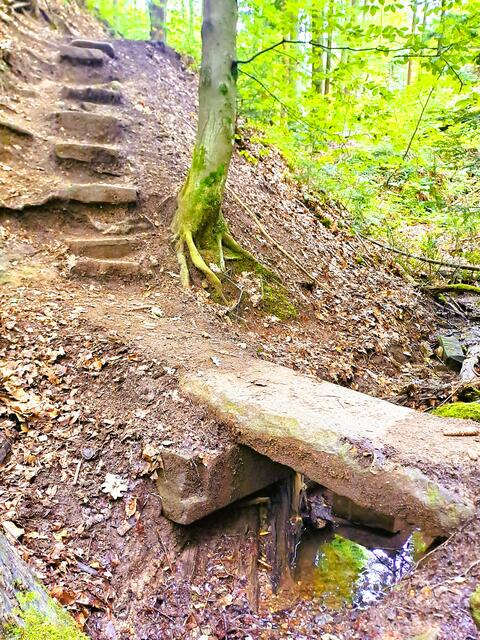 Im Schwäbischen Wald bei Wüstenrot (Lkr. Heilbronn) | Foto: Andreas Odey