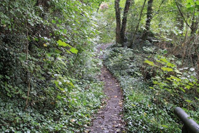 und weiter | Foto: Ralf Röser