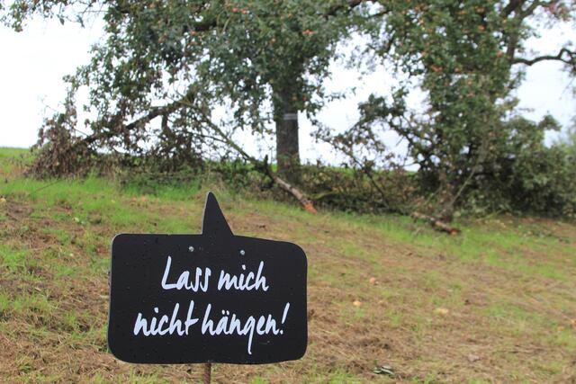 sehr schön | Foto: Ralf Röser