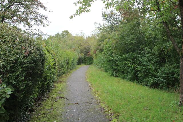 und weiter | Foto: Ralf Röser