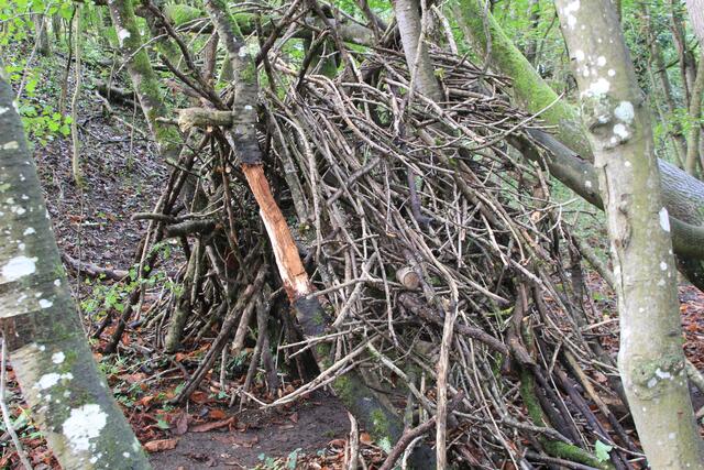 schee | Foto: Ralf Röser