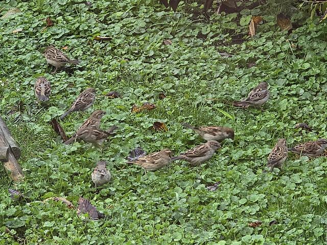 Foto: Heidrun Rosenberger