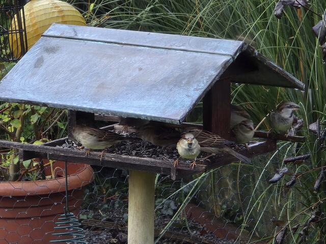 Foto: Heidrun Rosenberger