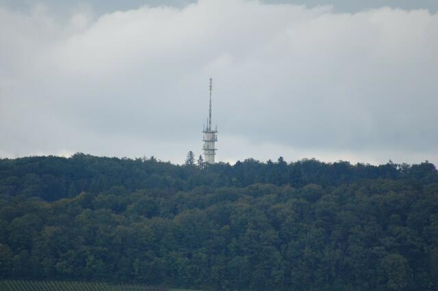 Foto: Heidrun Rosenberger