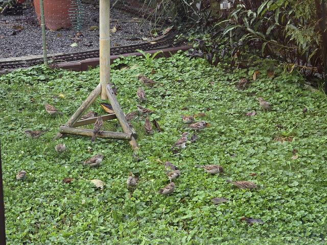 Foto: Heidrun Rosenberger