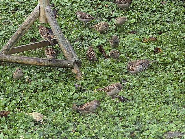 Foto: Heidrun Rosenberger