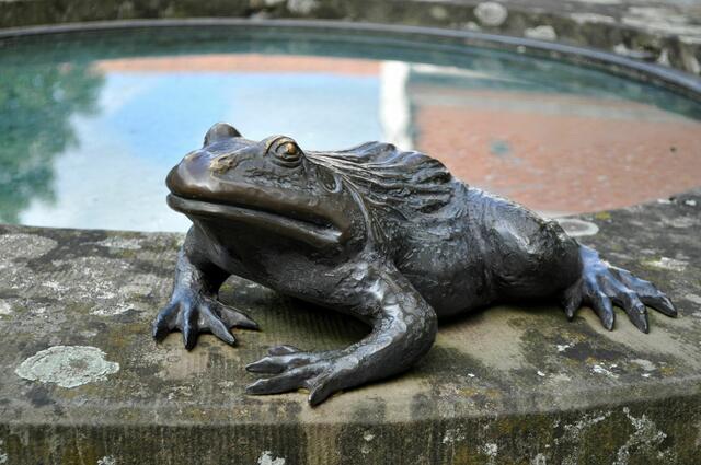 Der Frosch auf dem Brunnen. | Foto: Daniela Somers