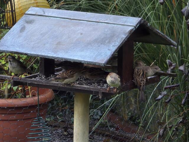 Foto: Heidrun Rosenberger