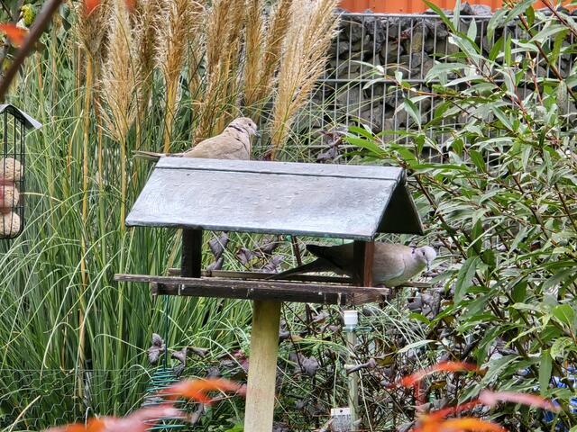 Foto: Heidrun Rosenberger