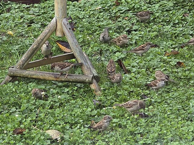 Foto: Heidrun Rosenberger