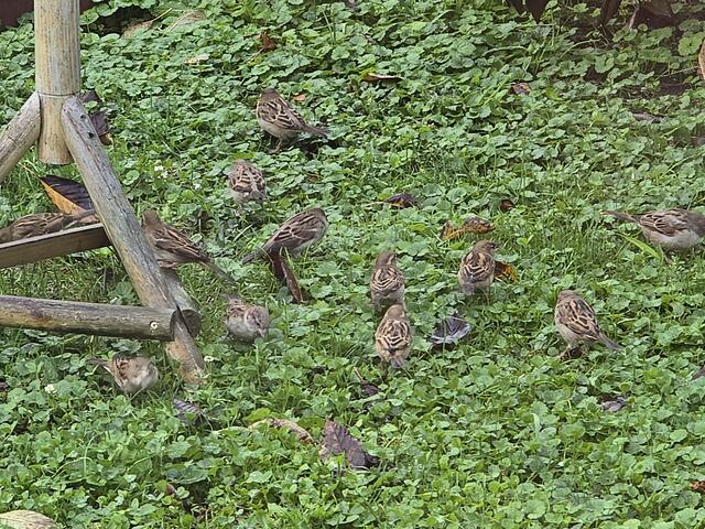 Foto: Heidrun Rosenberger