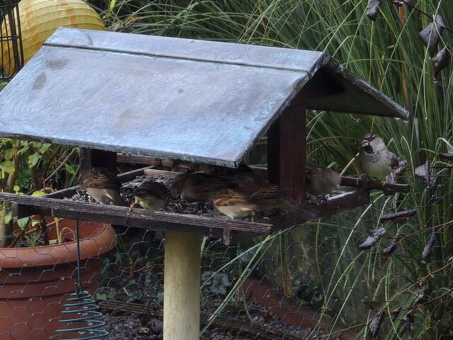 Foto: Heidrun Rosenberger