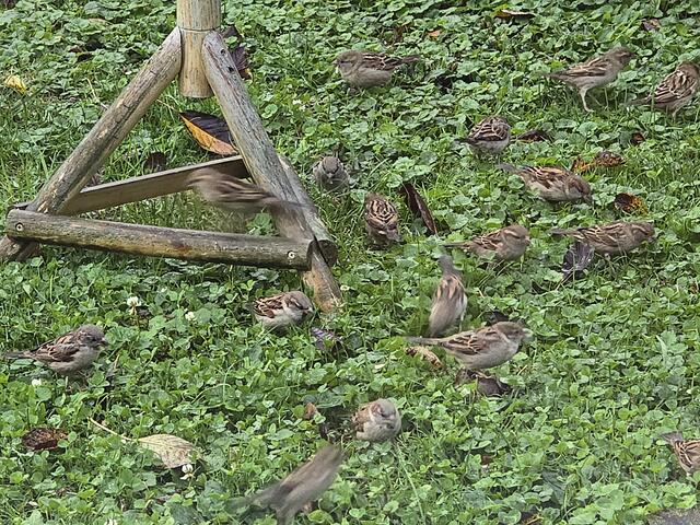 Foto: Heidrun Rosenberger